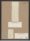 Pyxilla grovei (P. johnsoniana) Grun. (de-Toni-Nr.: Genus 164) Zeichnungen Sammlung Grunow Nr. 7832 (NHMW-BOT-W0377075)